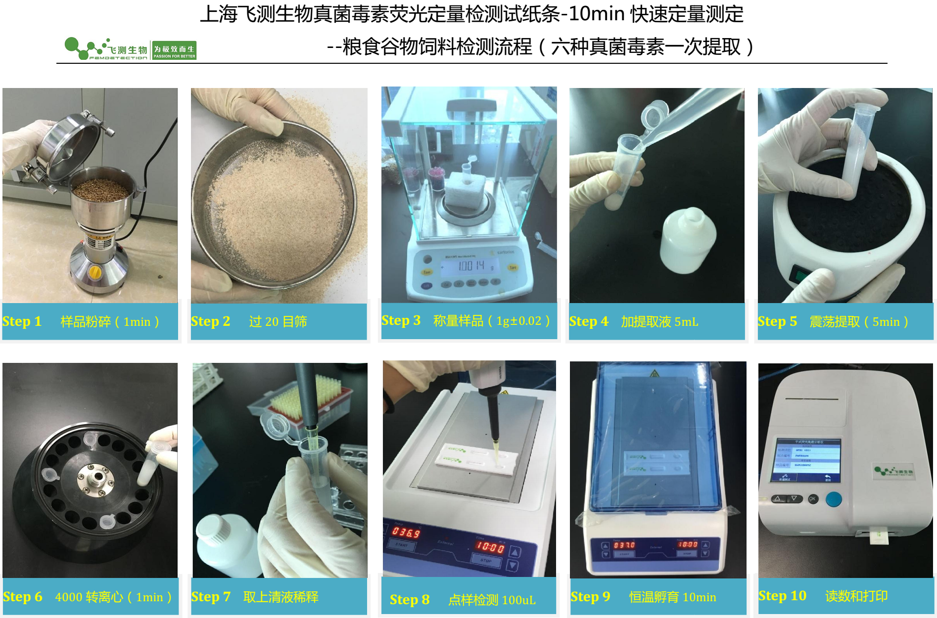 真菌毒素檢測(cè)過(guò)程