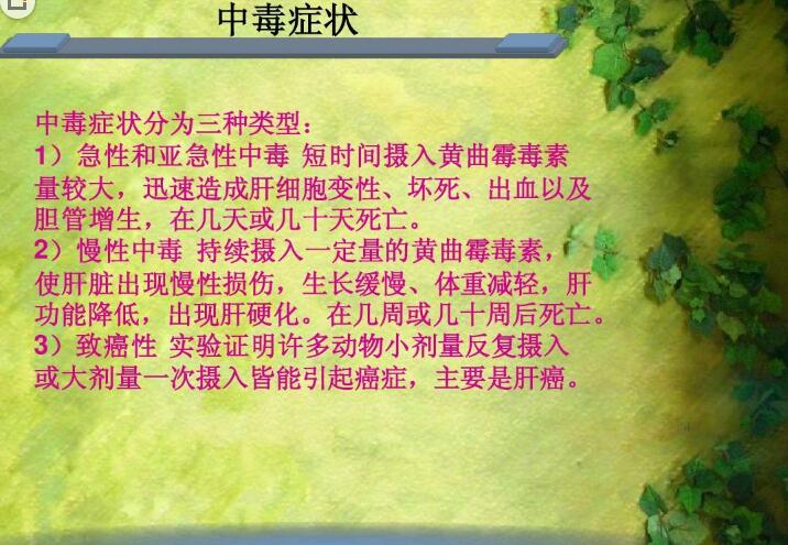 六、黃曲霉毒素對人和動物有哪些危害？