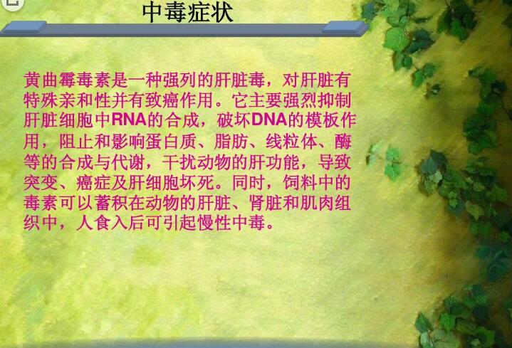 六、黃曲霉毒素對人和動物有哪些危害？