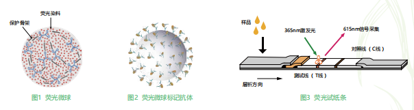 時間分辨熒光納米微球標記技術