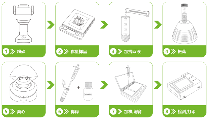 中藥材三唑酮熒光定量快速檢測(cè)卡檢測(cè)流程
