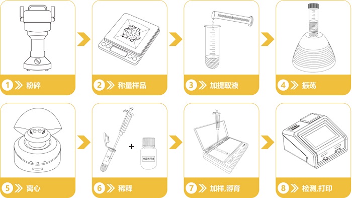 黃曲霉毒素快速定量檢測卡操作流程